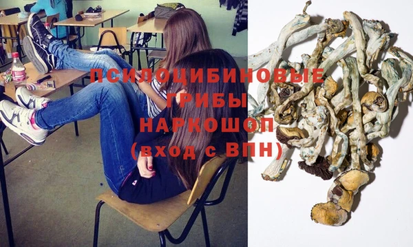 Альфа ПВП Балабаново