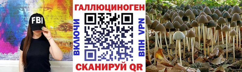 Галлюциногенные грибы прущие грибы Вязники