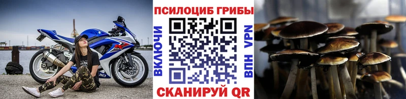 Галлюциногенные грибы прущие грибы Вязники