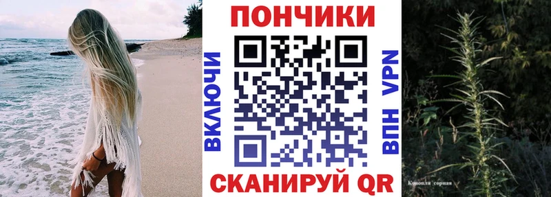 где можно купить   Вязники  мега   Каннабис OG Kush 
